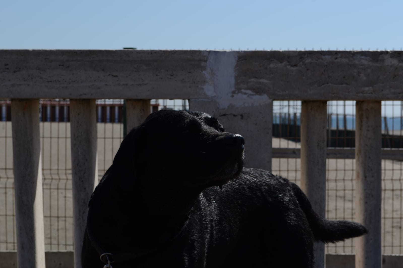 Ostia, citt mafiosa o citt di bellezze culturali?